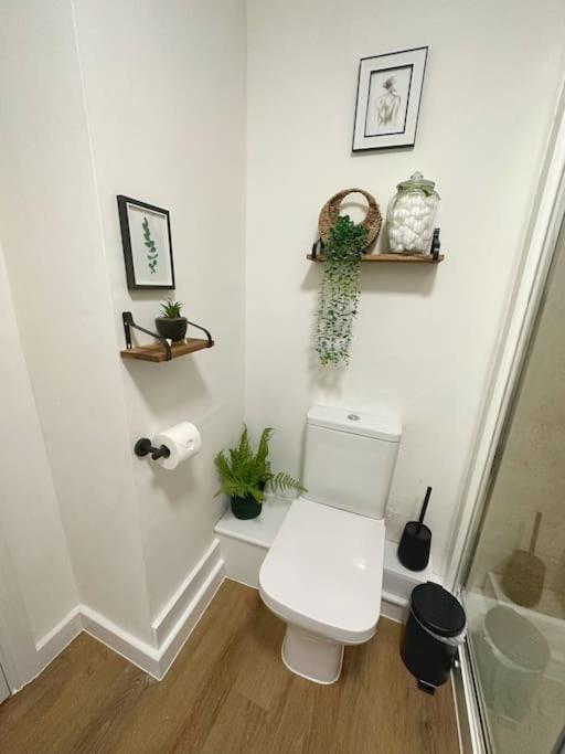 The Hive - Cosy Studio In Wells City Centre 외부 사진